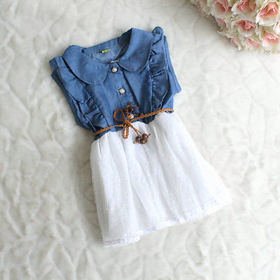 Denim Rose Dress