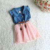 Denim Rose Dress