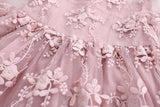Lace Dress Classic