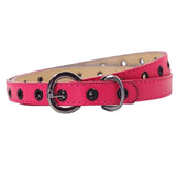 Kids Boys & Girls Belt