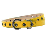 Kids Boys & Girls Belt