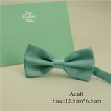Fashion Bow ties For Boys